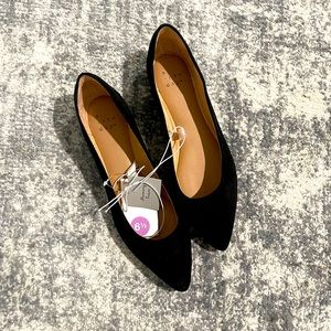 Sz 6.5 a new day flats